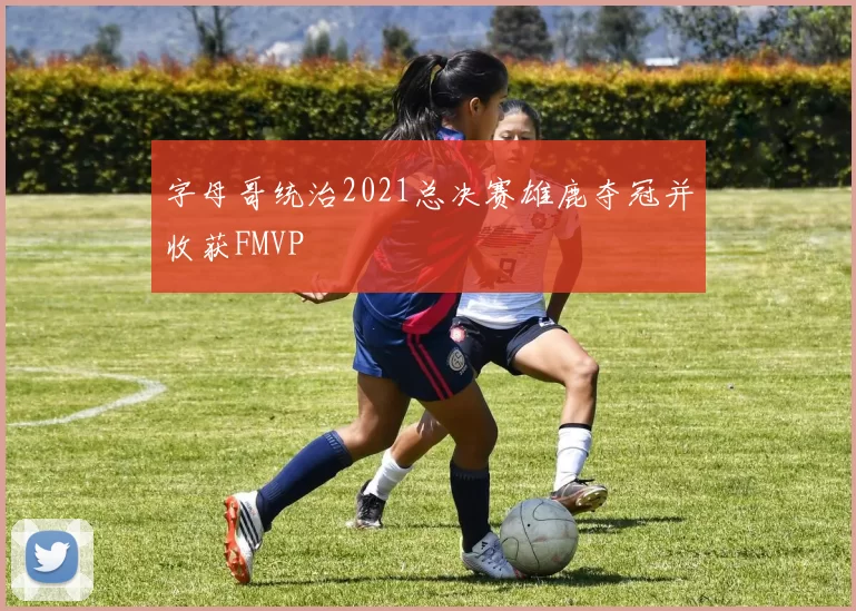 字母哥统治2021总决赛雄鹿夺冠并收获FMVP