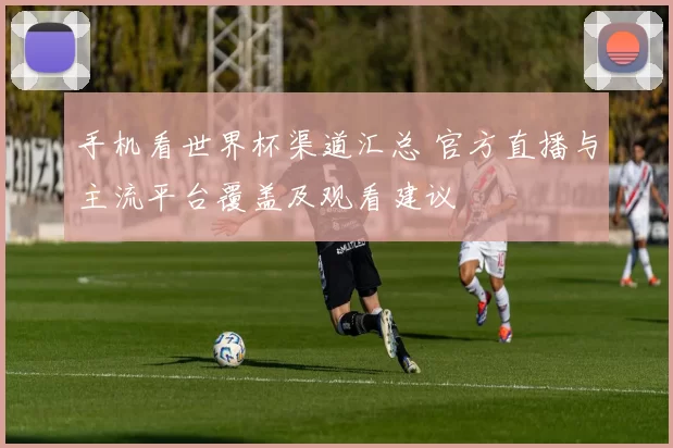 手机看世界杯渠道汇总 官方直播与主流平台覆盖及观看建议