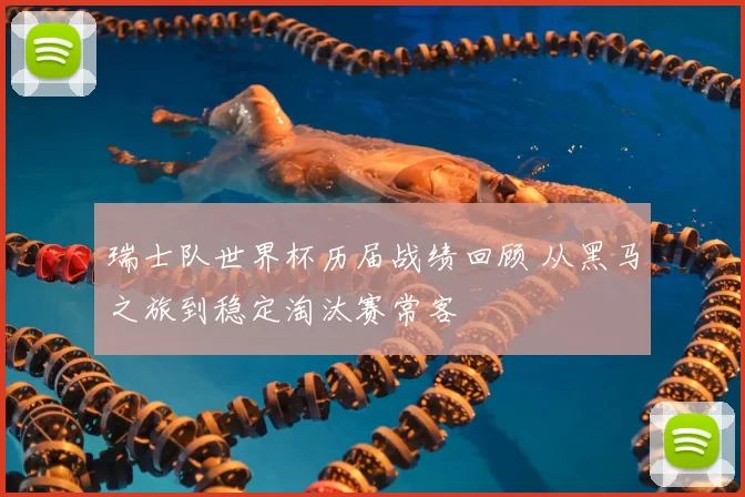 瑞士队世界杯历届战绩回顾 从黑马之旅到稳定淘汰赛常客