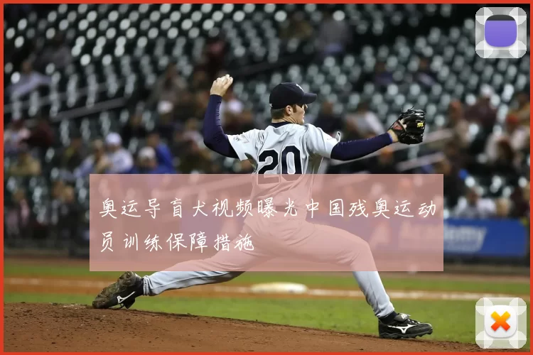 奥运导盲犬视频曝光中国残奥运动员训练保障措施