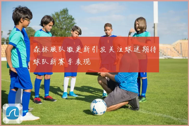 森林狼队徽更新引发关注球迷期待球队新赛季表现