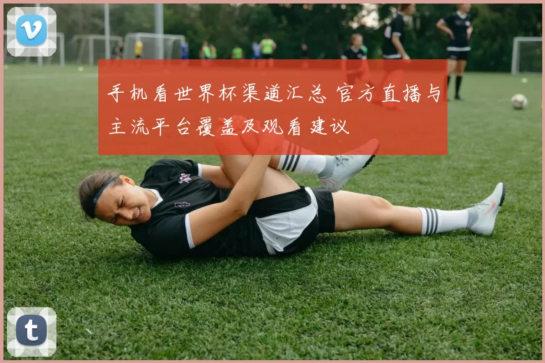 手机看世界杯渠道汇总 官方直播与主流平台覆盖及观看建议