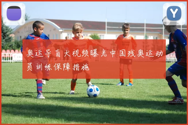 奥运导盲犬视频曝光中国残奥运动员训练保障措施