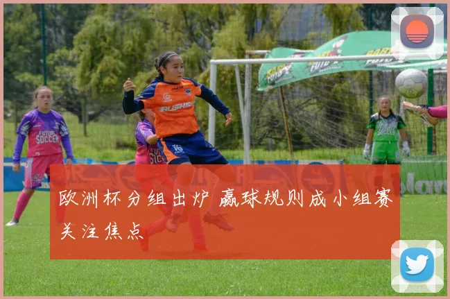 欧洲杯分组出炉 赢球规则成小组赛关注焦点